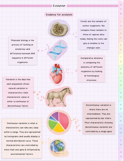 cute aesthetic biology notes Biochemistry Notes, Similarities And Differences, Biology Notes, Molecular Biology, Biochemistry, School Notes, Biology, Chemistry, Evolution