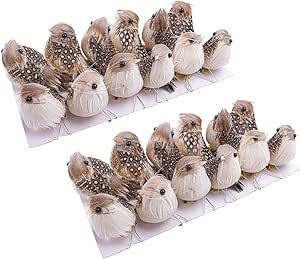 Warmtree 24 Pcs Artificial Simulation Birds Feather Mini Bird Decorative Fake Birds for Christmas Tree Craft Home Ornaments Garden Wedding Decoration (Set B) Eggs Craft, Fake Birds, Christmas Tree Craft, Artificial Birds, Home Ornaments, Diy Doll Miniatures, Artificial Fruit, Tree Craft, Garden Wedding Decorations