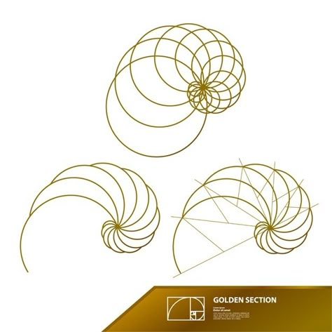 Golden Ratio Drawing, 04 Tattoo, Golden Ratio Logo Design, Golden Ratio Spiral, Golden Ratio In Design, Golden Ratio Logo, Fibonacci Tattoo, Logo Grid, Jewel Drawing