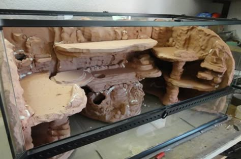 Uromastyx viv background build PIC HEAVY | Reptile Forums Bearded Dragon Tank Setup, Diy Bearded Dragon Enclosure, Dragon Enclosure, Lizard Cage, Leopard Gecko Care, Dragon Terrarium, Bearded Dragon Diy, Gecko Tank, Diy Reptile