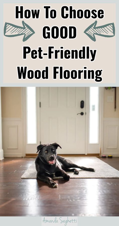 How To Choose GOOD Pet-Friendly Wood Flooring Best Flooring For Dogs, Best Floors For Dogs, Dog Friendly Flooring, Wood Floor Care, Best Wood Flooring, Sustainable Home Design, Wood Flooring Options, Bamboo Wood Flooring, Pet Friendly Flooring