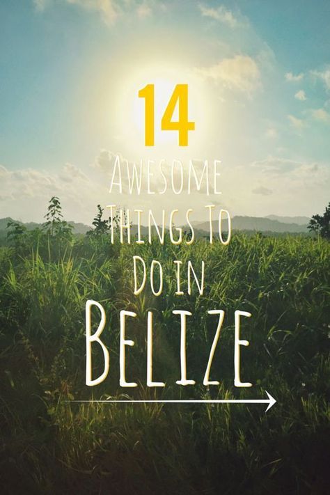 Things To Do In Belize (this country is amazing) trevormorrowtravel.com/ Things To Do In Belize, Belize Vacation, Belize Vacations, Central America Travel, Belize Travel, México City, Caribbean Travel, South America Travel, To Infinity And Beyond