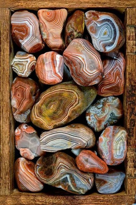 The MN State gem: Beautiful Lake Superior Agates - found on both north (MN) and south (WI) shores of Lake Superior. - Agates are semi precious stones so common on Lake Superior beaches no one pays much attention. Lake Superior Agates, Pretty Rocks, Beautiful Rocks, Mineral Stone, Minerals And Gemstones, Rocks And Gems, Lake Superior, Gems And Minerals, Crystal Gems