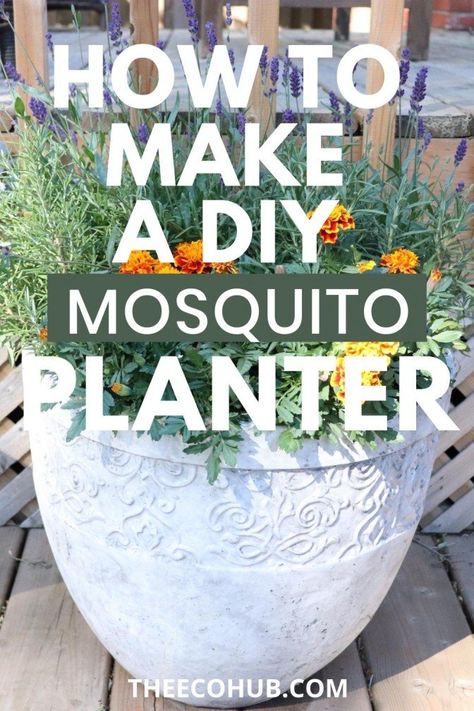 How To Make A DIY Mosquito Repellent Planter - The Eco Hub Natural Bug Spray Recipe, Diy Mosquito Repellent, Plants That Repel Bugs, Bug Spray Recipe, Mosquito Plants, Mosquito Repelling, Natural Bug Spray, Garden Escape, Eco Garden