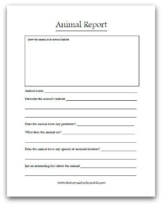 Animal Report Template (4) - TEMPLATES EXAMPLE | TEMPLATES EXAMPLE Animal Report Template, Animal Report, Research Paper Introduction, Animal Research, Animal Classification, Free Homeschool Printables, Classroom Science, First Grade Science, First Grade Activities