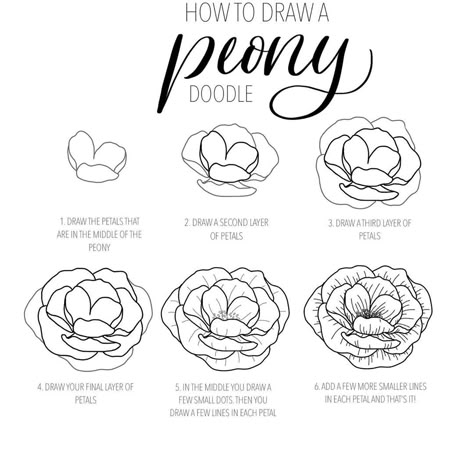 Laura creates it on Instagram: “NEW TUTORIAL! So this is how I draw a simple peony doodle! Easy to use for both drawing on paper and on the ipad (swipe to see my results)…” Peony Flower Drawing Easy, Peony Sketch Simple, Peonies Illustration Simple, How To Draw Peony Flowers, Peony Line Drawing Simple, Easy Peony Drawing, Easy Peony Painting, Simple Peony Drawing, Peony Illustration Simple