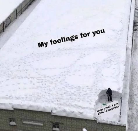 My Feelings For You, Inappropriate Thoughts, Expectation Vs Reality, Anything For You, Healthy Marriage, I Love My Girlfriend, Relationship Memes, Marriage And Family, Wholesome Memes