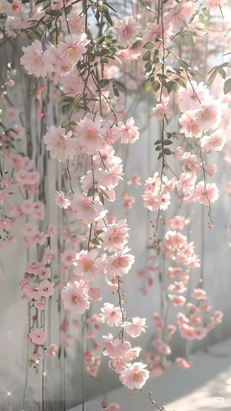 Flowers Photography Wallpaper, Floral Wallpaper Phone, Pretty Phone Wallpaper, Simple Phone Wallpapers, Lovely Flowers Wallpaper, Flower Iphone Wallpaper, Cute Flower Wallpapers, Wallpaper Nature Flowers, Spring Wallpaper