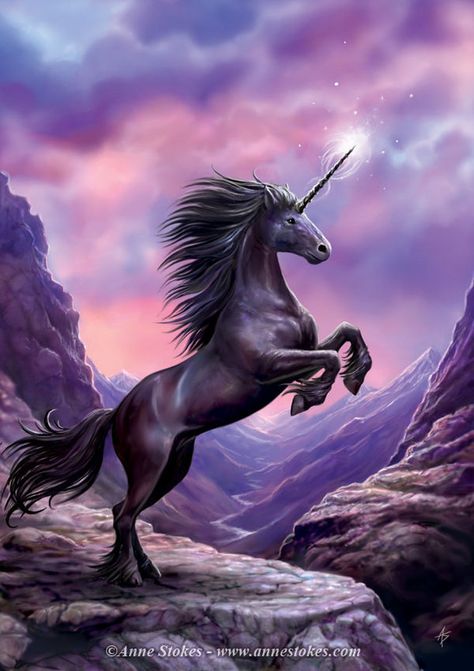 What a gorgeous illustration of a black Unicorn, the rarest of all the mythological beings. Anne Stokes Art, Creature Fantasy, Unicorn And Fairies, Illustration Fantasy, Anne Stokes, Unicorn Card, Unicorn Pictures, Black Unicorn, Boris Vallejo