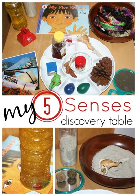 Learning About 5 Senses Activity Discovery Table from Little Bins for Little Hands 5 Sense Sensory Bin, Discovery Of The World Learning Centre, Discovery Centre Preschool, Five Senses Books Preschool, Preschool Senses, 5 Senses Activity, Preschool Five Senses, Preschool 5 Senses, Senses Activity