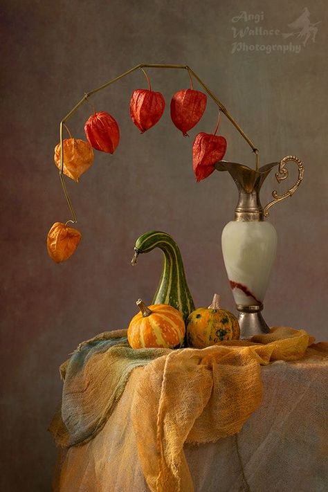 Chinese Lanterns Plant, Creative Portraiture, Still Life Pictures, Pumpkin Canvas, Expressions Photography, Life Drawing Reference, Food Art Photography, Silk Fiber, Magic Design