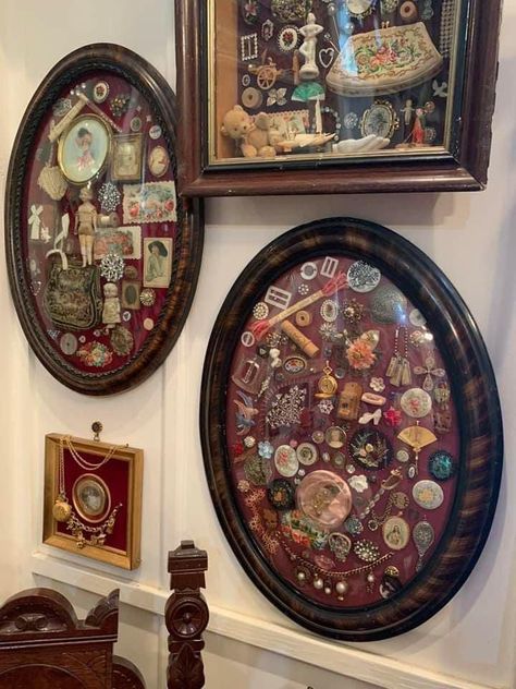 Trinket Display Ideas, Oddities Display, Trinket Wall, Trinket Display, Halter Dresses, Elegant Evening Dress, Rose Brooch, Framed Pictures, Strap Dresses