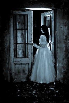 Happy Halloween You Naughty Creatures  Copyright (c) 123RF Stock Photos Victorian Macabre, Horror Images, Haunted Wedding, Spooky Photoshoot, Halloween Pin Up, Ghost Sightings, Ghost Bride, Gothic Photography, Horror Photos