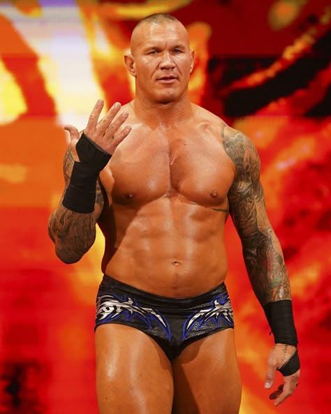 Mike Mizanin, Randy Orton Rko, Wwe Randy Orton, Electrical Shop, Wwe Art, Randy Orton Wwe, Randy Orton, Aj Styles, Men Bodies