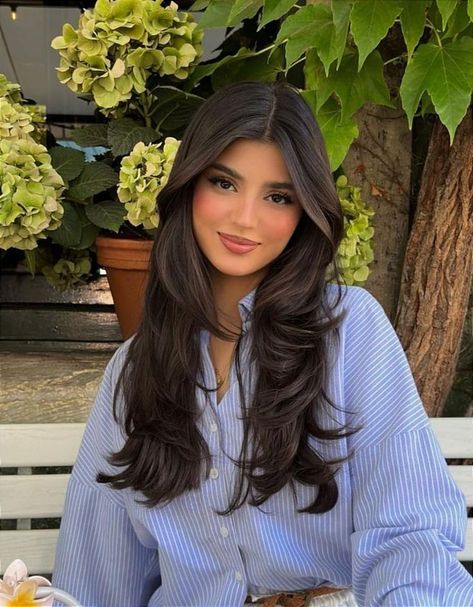 Haircut Layers Black Hair, Long Brunette Hair With Face Framing Layers, Angles And Layers Haircut, Layered Hair Indian, Jasmine Nguyen Hair, Indian Layers Haircut, Indian Layered Hair, Haircut Inspo Long Layers, Indian Haircuts For Women