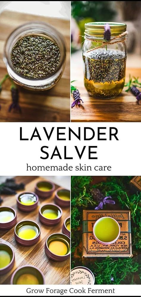 Herb Closet, Lavender Salve, Herbal Salve Recipes, Apothecary Garden, Medicinal Flowers, Herbs Medicine, Body Care Recipes, Healing Salve, Herbal Medicine Recipes