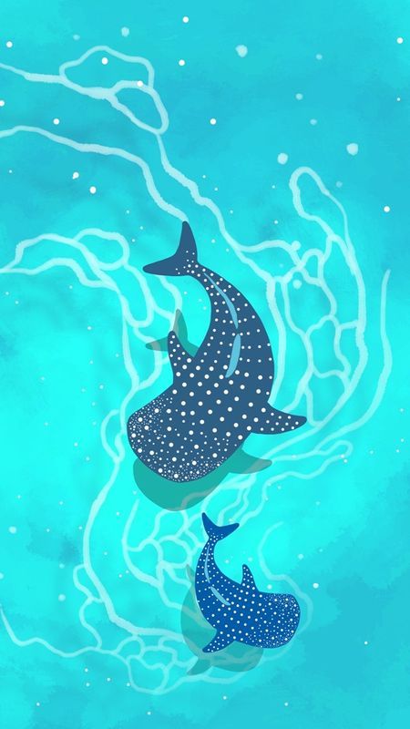 Slay Wallpapers, Tufting Rug, Piskel Art, Whale Sharks, Cute Summer Wallpapers, Shark Art, Seni Dan Kraf, Phone Wallpaper Patterns, Whale Shark