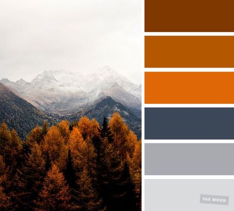 Pretty Autumn Color Schemes { Smokey + burnt orange } A pretty colour palette. To get you started on your own palette, we’ve created over... Orange Scheme Colour Palettes, Burnt Orange Palette Colour Schemes, Orange Hues Colour Palettes, Colors With Burnt Orange, Burnt Orange Colour Scheme, Colours That Go With Burnt Orange, Color Schemes Burnt Orange, Colour Palette Burnt Orange, Colours That Go With Orange