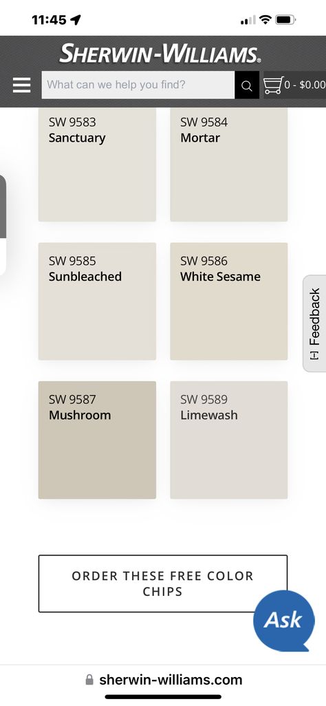 Sherwin Williams Sunbleach, Sunbleached By Sherwin Williams, Limewash Sherwin Williams, Sherwin Williams Limewash, Beach House Colors, Limewash Paint, Relaxing Colors, Color Chip, Paint Colours