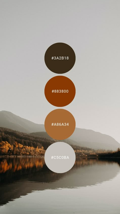 Tawny, terracotta, and toasted rye are tantalizing against cool titanium. Try it in the kitchen, master / primary bedroom, home office, or condo / bachelor apartment. #colorpalette #colourpalette #autumn #fall #brown #orange #burntorange #modern Colors That Complement Burnt Orange, Burnt Orange And Black Color Palette, Burnt Orange Living Room Color Combinations Colour Palettes, Burnt Orange Pallet, Burnt Orange Color Palette Bedrooms, Terracotta Grey Living Room, Orange Brown Cream Color Palette, Burnt Orange Color Palette Living Room, Orange And Brown Bedroom Ideas