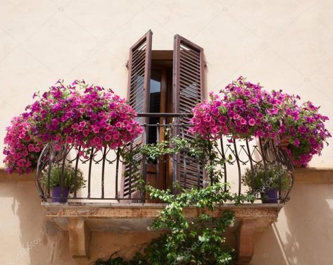 10 Magnificent Ideas To Decorate Italian Style Balcony Italian Balcony, Green Sectional, Bougainvillea Tree, French Balcony, Balcony Flowers, Flower Containers, Iron Balcony, Balcony Plants, Garden Wallpaper