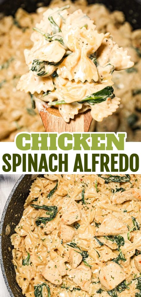 Spinach Fettuccine Recipes Pasta Dishes, Chicken Bacon Spinach Alfredo, Chicken And Spinach Skillet Pasta, Chicken Spinach Pasta Recipes Easy, Healthy Chicken And Spinach Pasta, Crockpot Pasta With Spinach, Instapot Chicken And Spinach Recipes, Recipes With Spinach Leaves, Chicken Spinach Alfredo Crockpot