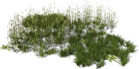 Grass For Photoshop, Grass Architecture, Grass Photoshop, Png Collage, Grass Png, Car Top View, Ground Texture, Photoshop Landscape, Grass Texture