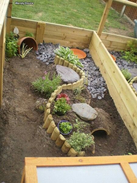 I'm interested in creating an outdoor quail habitat for my buttons and was hoping for some info/advise and ideas. I want it to be like those tortoise habitats I see (will add some example pics when back on phone) Is this doable? I have heard of people adding quail (although bigger varieties I... Tartaruga Habitat, Rabbit Playground, Box Turtle Habitat, Tortoise Home, Outdoor Tortoise Enclosure, Turtle Enclosure, Rabbit Enclosure, Rabbit Habitat, Turtle Homes