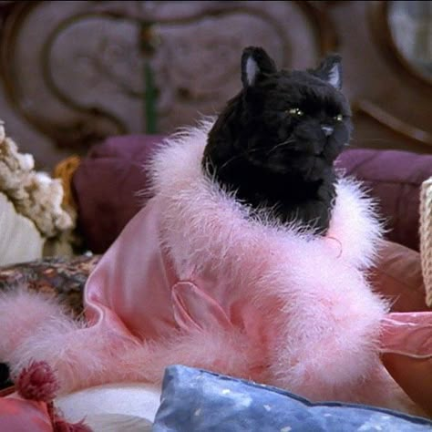 Salem Cat, Sabrina Witch, Pink Witch, Teen Witch, Smelly Cat, Sabrina The Teenage Witch, Sabrina Spellman, Black Witch, Witch Outfit