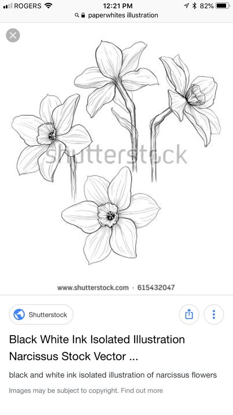 White Narcissus Tattoo, Paperwhites Tattoo, Paperwhite Tattoo, Narcissus Paperwhite Tattoo, Paperwhite Flower Tattoo, Paperwhite Narcissus Tattoo, Paperwhite Flowers, Narcissus Tattoo, Mum Tattoo