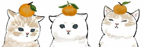 Header Art Twitter, Cat Twitter Header Aesthetic, Cute Cat Header, Doodle Header, Hd Header, Twitter Header Anime, Cat Header, Tangerine Wallpaper, Soft Header