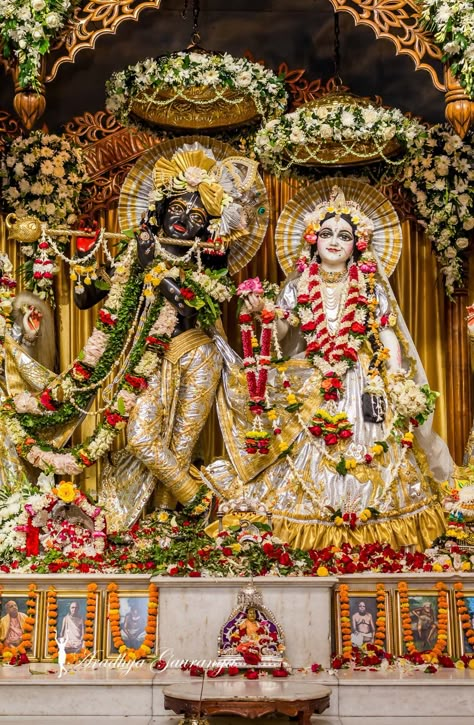 Radha Krishna Mayapur Wallpaper, Radha Krishna Mayapur, Radha Krishna Pictures Full Hd, Radha Krishna Full Screen Hd Wallpaper, Iskcon Krishna Wallpapers Hd, Wallpaper Of Lord Krishna, Mayapur Radha Krishna, Radha Krishna Wallpaper Full Hd 4k, Radha Krishna Iskcon