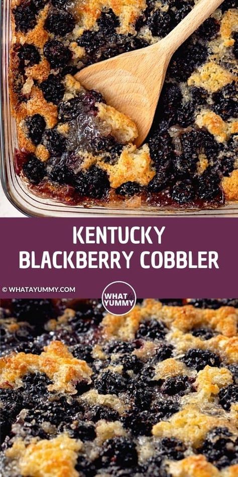 Kentucky Blackberry Cobbler, Blackberry Recipes Easy, Blackberry Dessert Recipes, Easy Blackberry Cobbler, Berry Cobbler Recipes, Blackberry Dessert, Blackberry Cobbler Recipe, Cobbler Recipes Easy, Italian Pizza Recipes