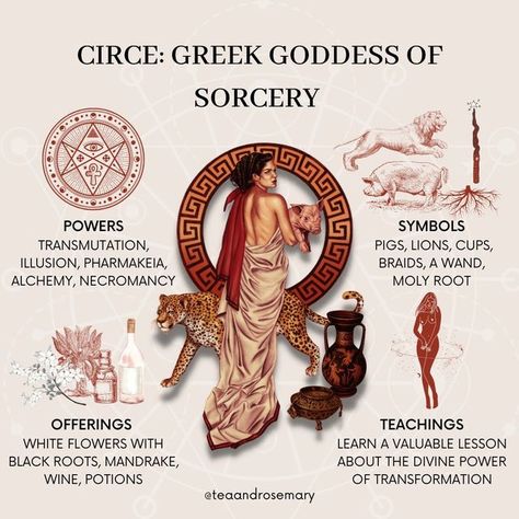 Tea & Rosemary☕️🌱 on Instagram: "Circe: Greek Goddess Of Sorcery⁣ ⁣ Circe is a sorceress and herbalist first referred to as a goddess in Homer’s Odyssey. Circe is yet another feminine entity in Greek mythology that has been demonized for using her magic to stand up for herself and to gain power.⁣ ⁣ Circe is (in my opinion) an ideal goddess for human witches to work with. She's not soft, but she's a great teacher and incredibly powerful sorceress. ⁣ ⁣ 𝗣𝗼𝘄𝗲𝗿𝘀: Transmutation, Illusion, Pharm Circe Goddess, Goddess Magick, Symbole Viking, Goddess Symbols, Dark Goddess, Greek Mythology Gods, Divine Power, Wiccan Magic, Black Roots