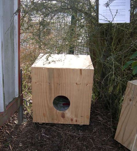 Cat House Outdoor, Feral Cat House, Cave Animals, Chat Diy, Niche Chat, Cat Diys, Cat Care Tips, Dry Cat Food, Outdoor Cats