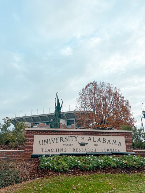 University Of Alabama Aesthetic, University Of Alabama Campus, Alabama Aesthetic, Future Collage, Univ Of Alabama, Alabama University, Campus Aesthetic, Plan Board, University Of South Alabama