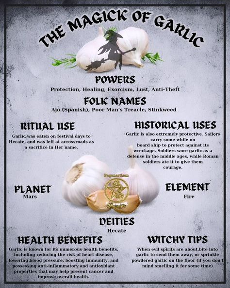 **The Magic of Garlic: Nature's Enchanted Bulb** 🌿🧄 Garlic, often hailed as nature's wonder, is more than just a kitchen staple. This potent bulb has been revered for centuries for its mystical properties and health benefits. From warding off evil spirits in ancient folklore to boosting immunity, garlic's magic is undeniable. 🌟 Rich in antioxidants, garlic helps combat illnesses and promotes heart health. Its unique aroma and flavor transform any dish into a culinary delight. But the magic ... Garlic Magical Properties, Garlic In Witchcraft, Magical Properties Of Garlic, Garlic Witchcraft, Garlic Benefits Health, Hibiscus Tea Benefits, Health Benefits Of Garlic, Warding Off Evil Spirits, Natural Healing Herbs