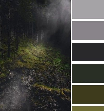 Color Design Inspiration, Forest Color, Colour Pallets, Color Schemes Colour Palettes, Dark Home Decor, Paint Swatches, Colors For Home, Room Color Schemes, Color Palette Design