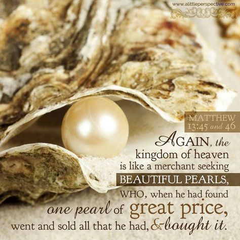 His Precious Pearls motto!  #HisPreciousPearls Pearl Of Great Price, Hunger Games Aesthetic, Games Aesthetic, Peeta Mellark, Scripture Pictures, Oyster Pearl, Suzanne Collins, Kingdom Of God, Kingdom Of Heaven