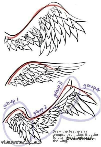 Angel Wings Tutorial, Anime Wings, Drawing Male, Wings Drawing, Simple Drawings, Couple Drawing, Drawing Help, Anime Show, Wings Art