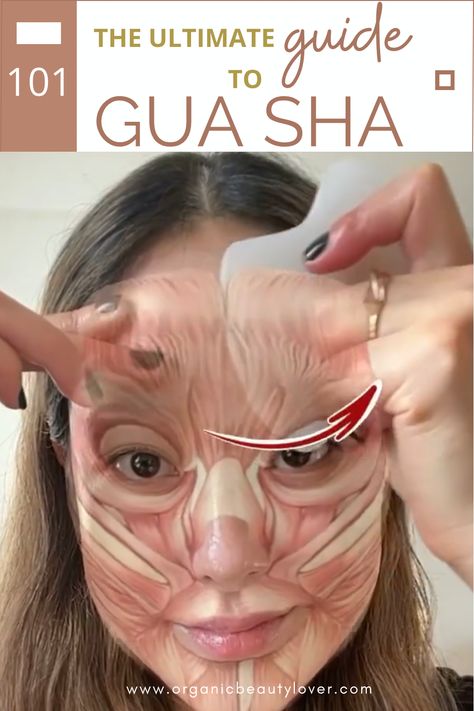 How To Use a Gua Sha: The Ultimate Guide 2024 - ORGANIC BEAUTY LOVER Gua Sha Technique With Hands, Gua Sha Hands, Full Body Gua Sha Map, Gua Sha Pattern, Gua Sha Step By Step, Gua Sha Movements, Gus Sha Results, Guasha With Hands, Gua Sha Scalp Massage