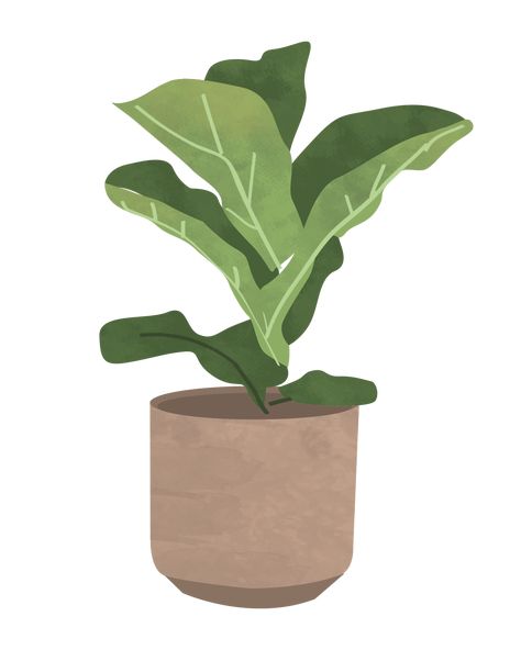 Plant illustration for interior and graphic design projects  #plantlady #plant #plants Aesthetic Plants, Only Aesthetic, Plant Aesthetic, Plant Painting, Plant Drawing, Room With Plants, Plant Illustration, Plant Art, Diy Canvas Art