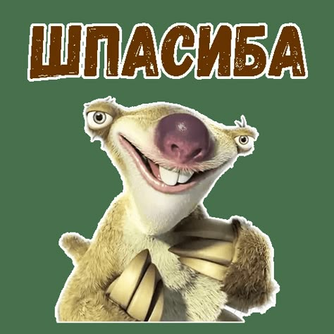 Sid The Sloth, Hello Memes, Wallpaper 8k, Response Memes, Funny Postcards, Laughing Jokes, Russian Memes, Iphone Wallpaper Video, Smart Quotes