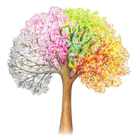 Tree With All Four Seasons, 4 Season Tree Tattoo, All The Seasons In One Picture, Painting Four Seasons, Winter Spring Summer Fall Art, Spring Summer Autumn Winter Art, Changing Seasons Art, Spring Tree Drawing, Four Seasons Drawing