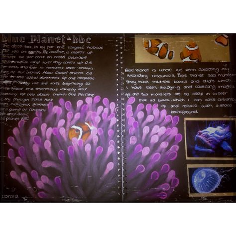 #GCSE #Art #Fish #Sea #BlackPage #Pinterest #Research #SecondaryResources #Watercolour #Ink #Artist #Colour #Palettes  #Sketchbook #Clownfish #SeaCoral #SeaMonsters #BrownPaper Gcse Art Environment, Land Sea And Sky Gcse Art, Sea Textiles, Natural Forms Gcse, Artist Research Page, Starfish Craft, Textiles Gcse, Textiles Ideas, Gcse Textiles