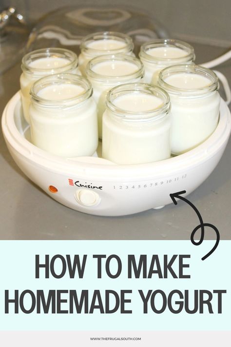 Seven jars of homemade yogurt in a yogurt maker. Text: "How to Make Homemade Yogurt". Homemade Flavored Yogurt Recipes, Homemade Yogurt Recipes Yogurt Maker, How To Make Your Own Yogurt, Home Made Greek Yogurt, Yogurt Maker Machine, Make Yogurt Homemade, Making Yogurt Homemade, Homemade Greek Yogurt Recipes, How To Make Greek Yogurt