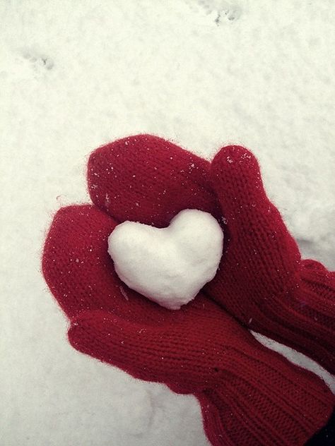 Red Mittens, Leap Year, I Love Heart, Winter Love, My Funny Valentine, Groundhog Day, Winter Wonder, Swiss Alps, Baby Cold