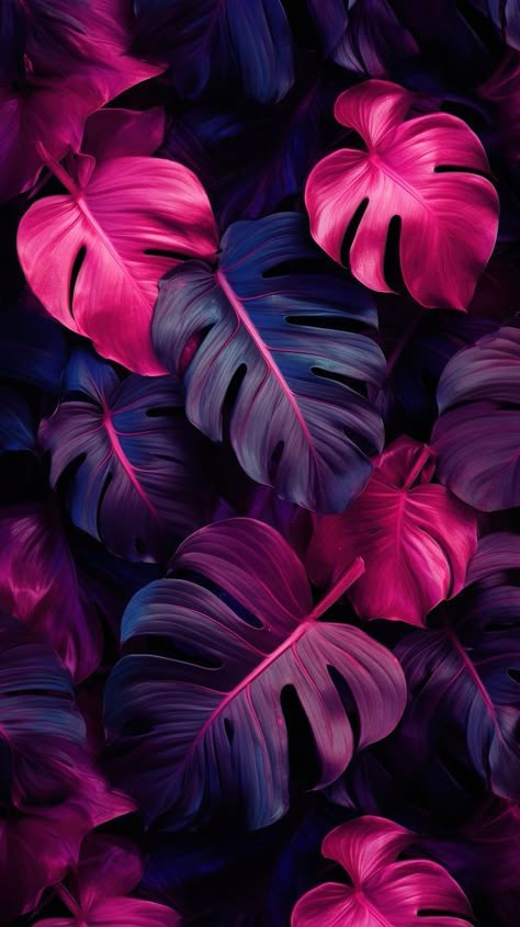 Monstera Leaf Wallpaper Iphone, Material You Wallpaper, Purple And Red Background, Cute Colourful Wallpaper, Pink And Violet Aesthetic, Bright Neon Wallpaper, Tropical Art Wallpaper, Magenta Background Aesthetic, Aesthetic Neon Wallpaper