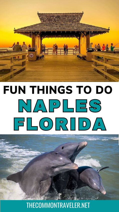 Planning a trip to Naples, Florida? From relaxing on stunning beaches to enjoying delicious dining, there are so many fun things to do in Naples, Florida. Take a stroll with the kids, experience romantic spots, or visit top attractions around Naples. Check out the best activities to make your vacation unforgettable. Whether it's for families or a romantic getaway, Naples has something for everyone. Start your adventure today by discovering the top things to do near Naples! Things To Do In Naples, Florida Activities, Naples Pier, Florida Attractions, Orlando Theme Parks, Port Royal, Romantic Getaway, Outdoor Lover, Naples Fl