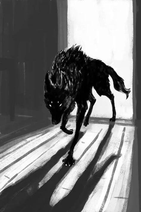 Black dog 숲 사진, 다크 판타지, Wolf Tattoos, Anime Wolf, Black Wolf, Wolf Art, Black Dog, The Wolf, Red Riding Hood